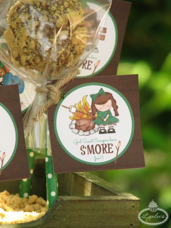 Girl-Scout-Camp-Smores-Pops